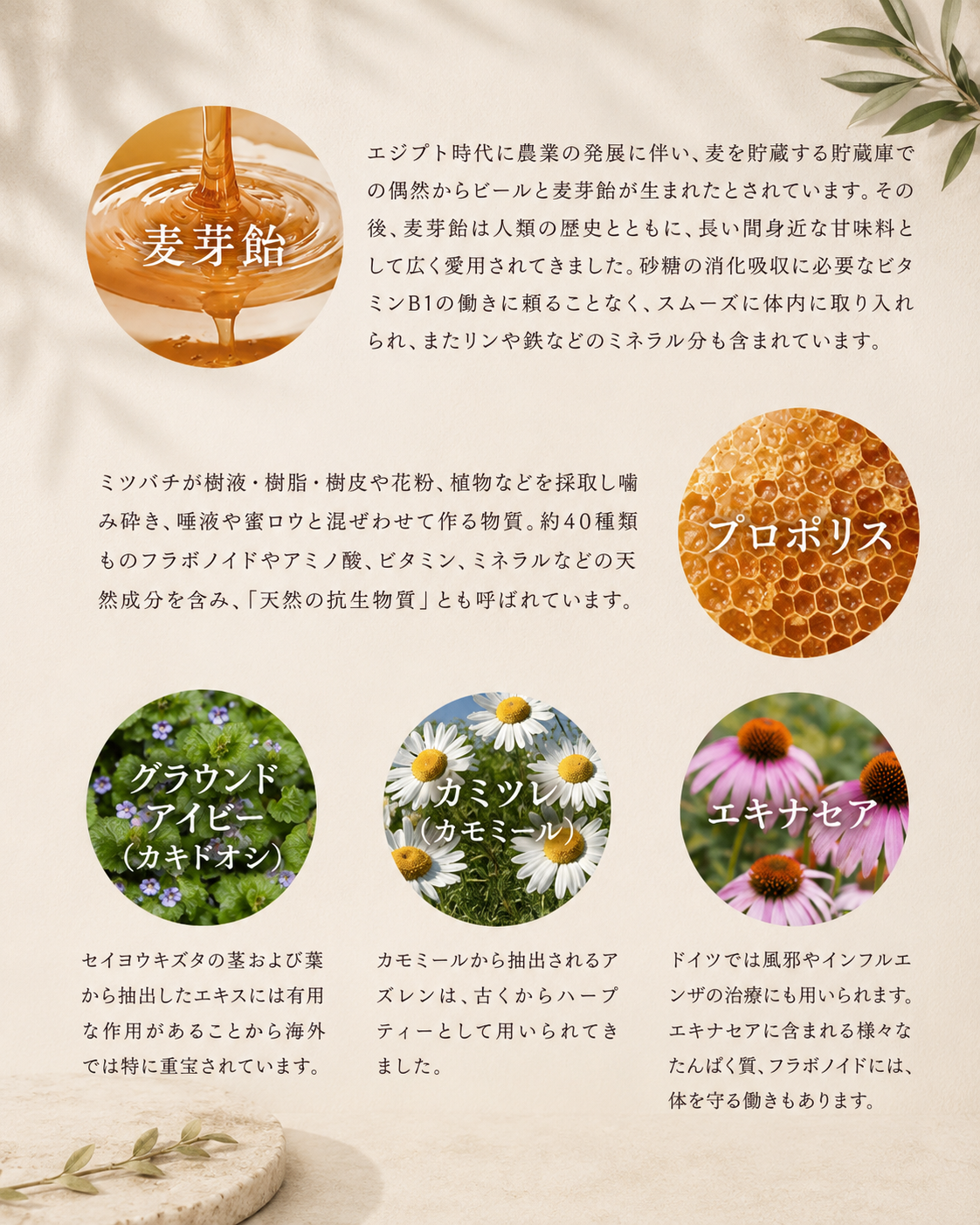 百年はちみつのど飴