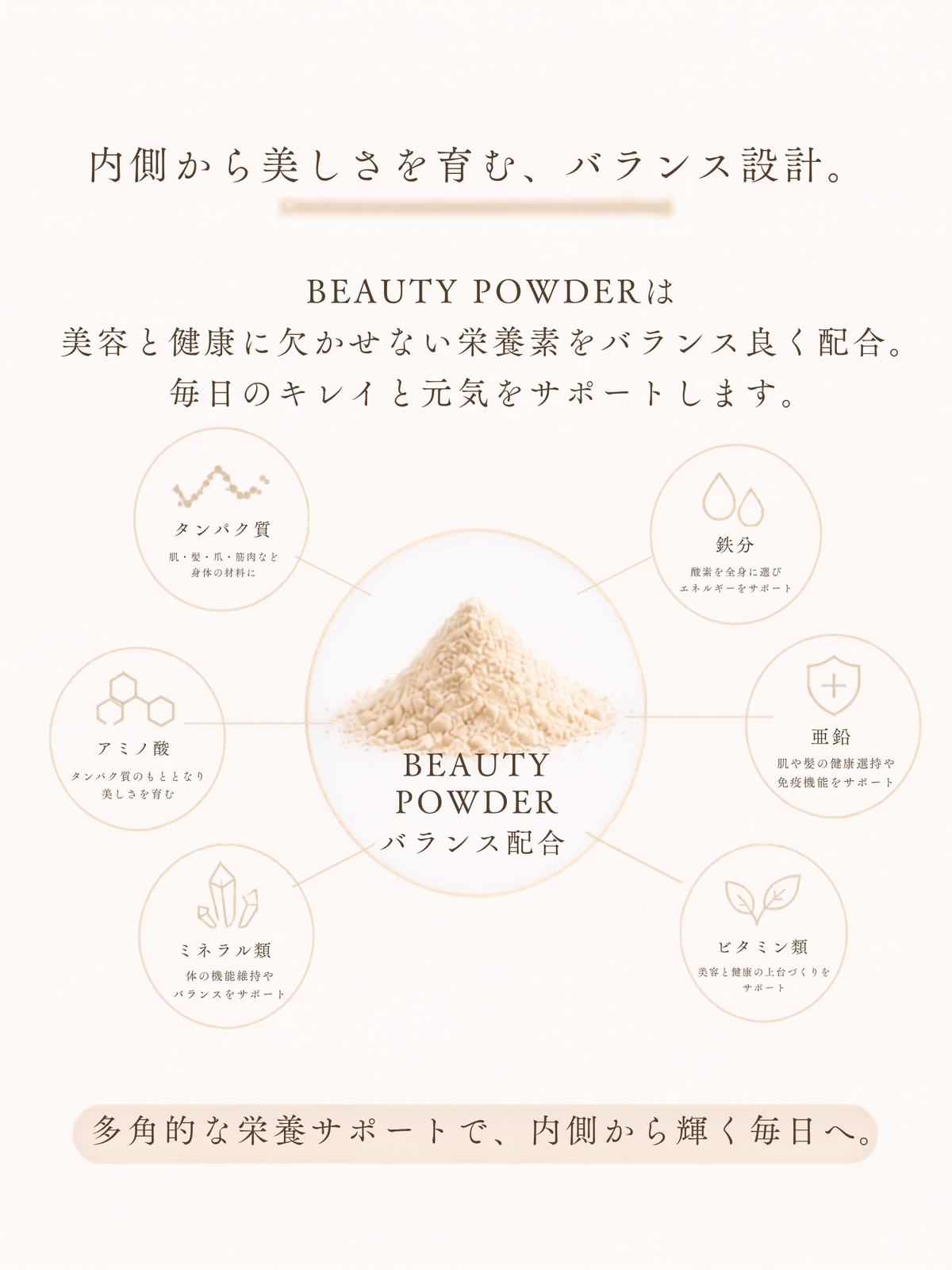 6つの栄養素がタンパク質の吸収をサポートする仕組みの図解。