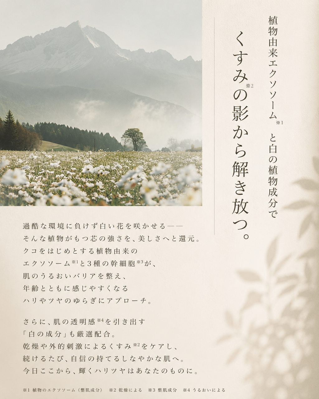 タントリュクスソープWHセラム/フェムケアソープ美容液
