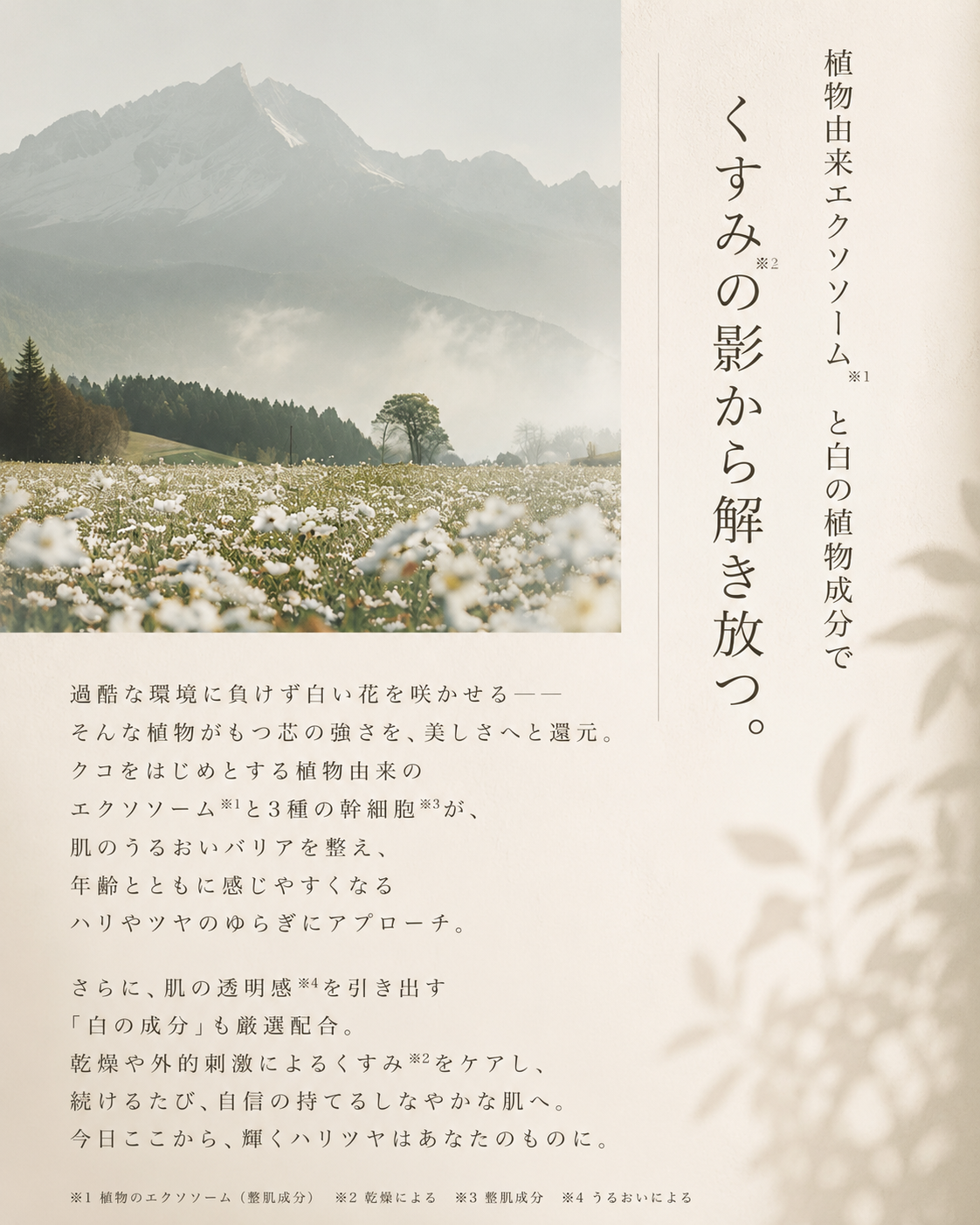 タントリュクスソープWHセラム/フェムケアソープ美容液