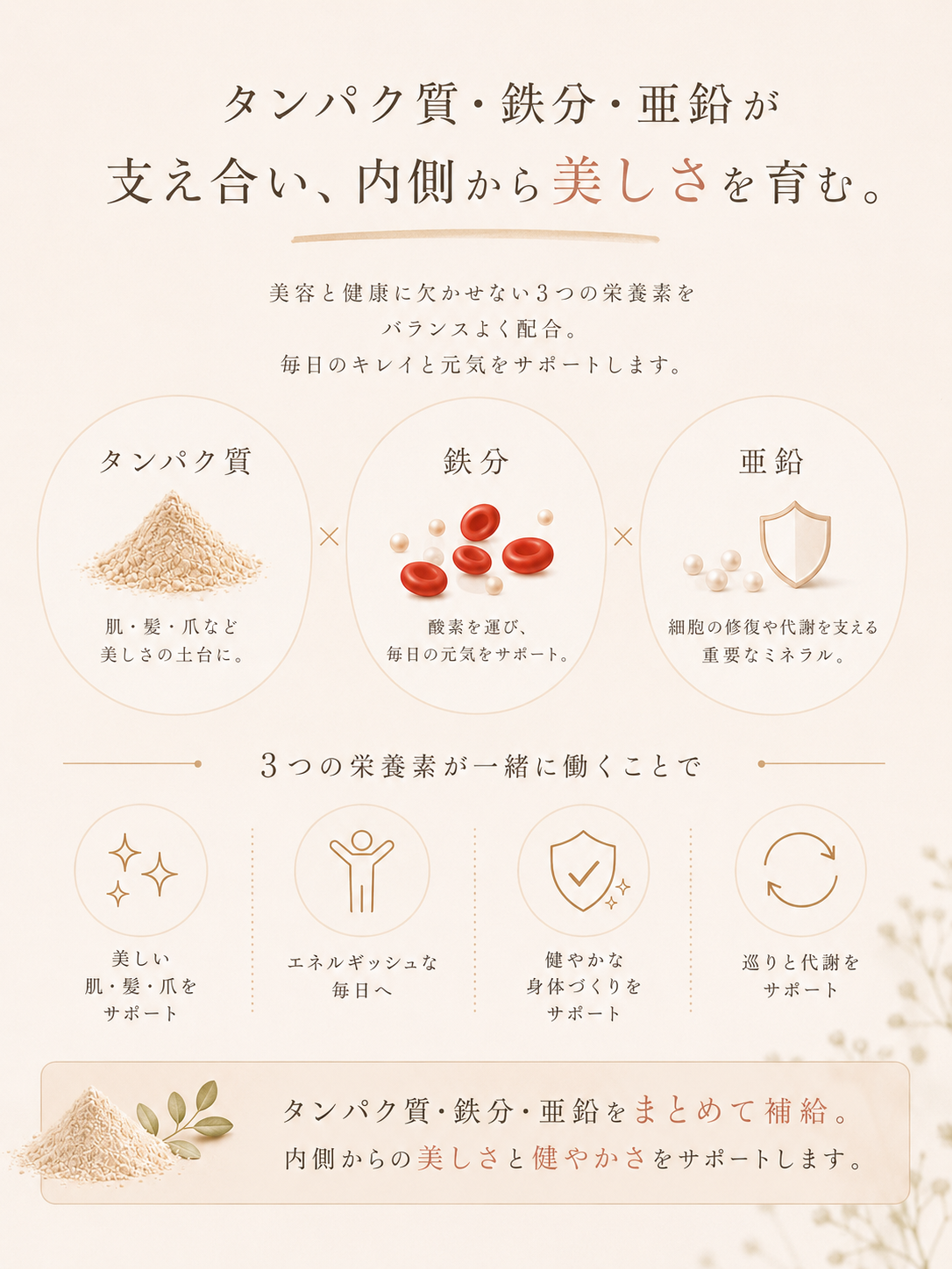 タンパク質と鉄分、亜鉛が一緒に働くことで得られる相乗効果の説明。