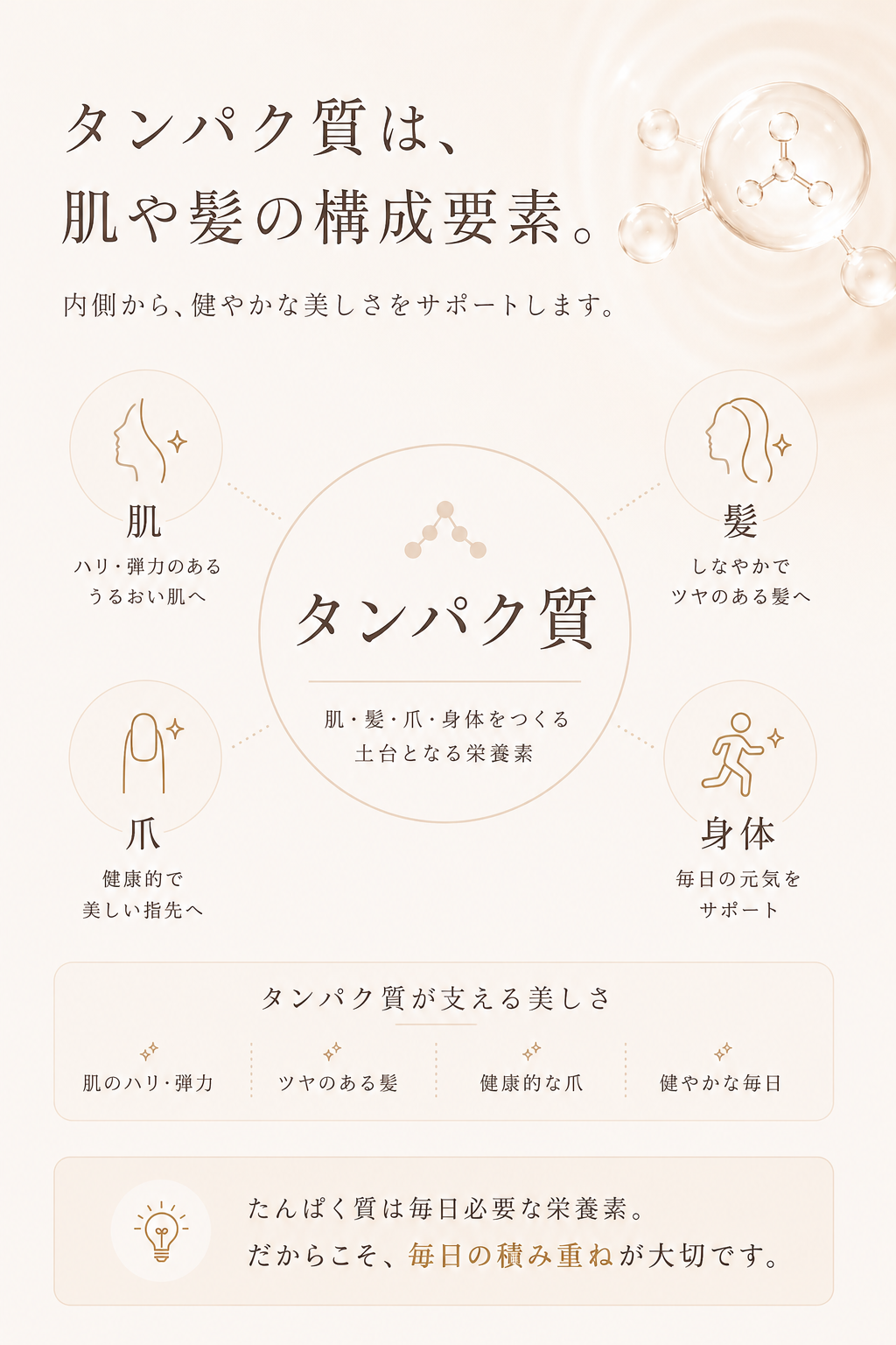 女性にとってタンパク質がもたらす嬉しい効果。肌、髪、爪、体力にタンパク質は欠かせない栄養素という説明。