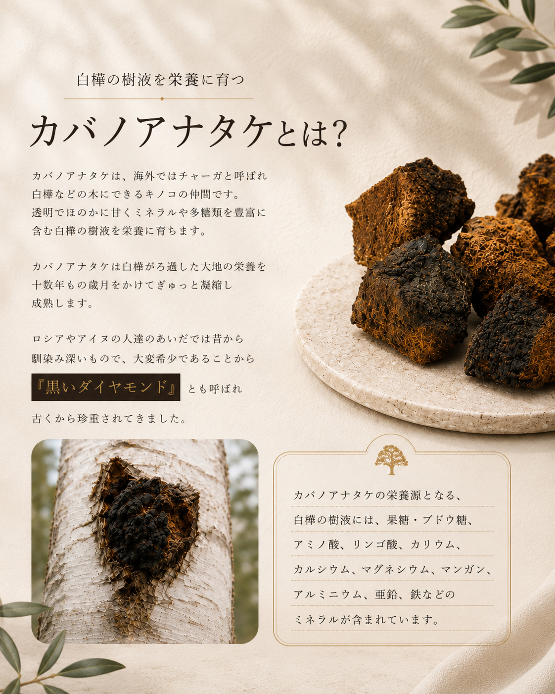 天恵石鹸