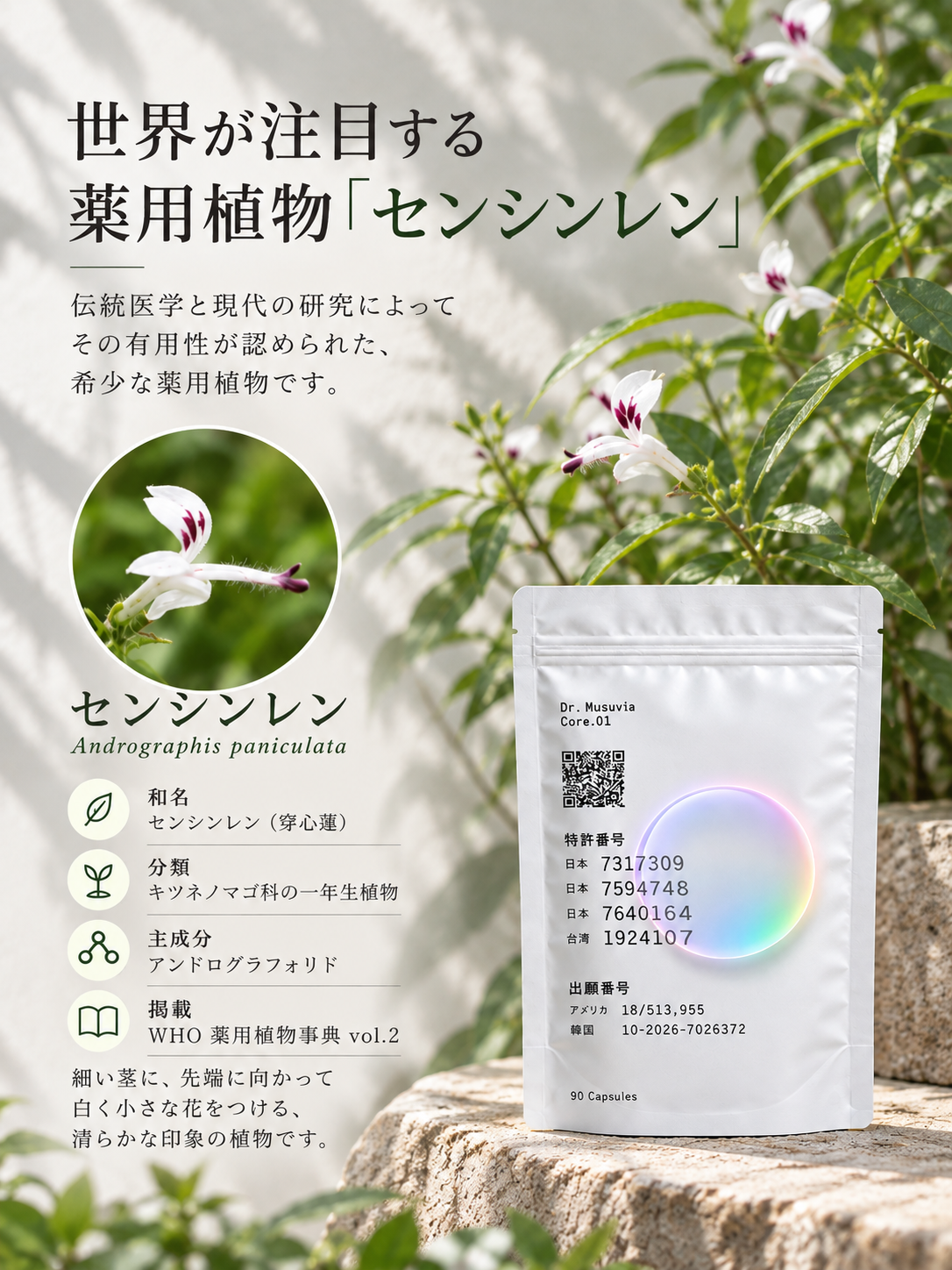 革命ｻﾌﾟﾘ  DR.Musuvia