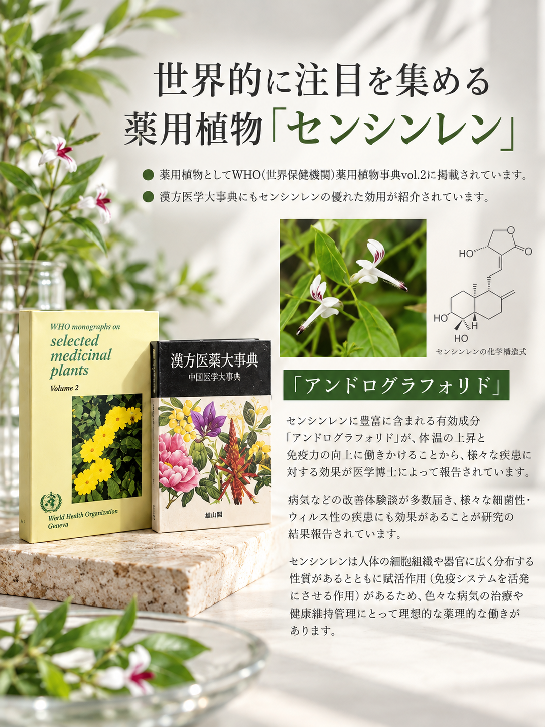 革命ｻﾌﾟﾘ  DR.Musuvia