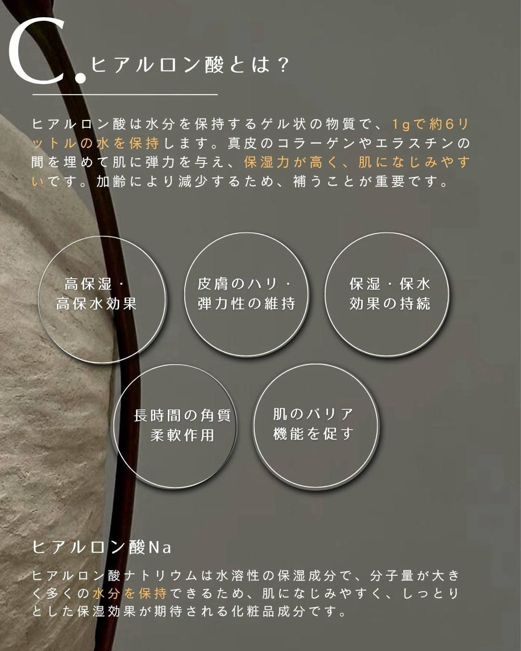 リジュゲルマスク