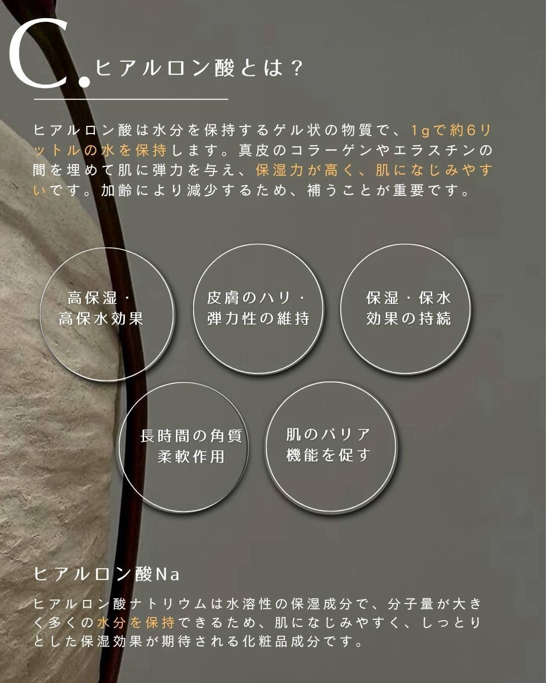リジュゲルマスク